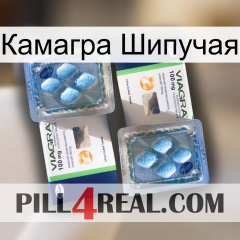 Камагра Шипучая viagra5